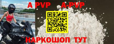ГАЛЛЮЦИНОГЕННЫЕ ГРИБЫ Кингисепп
