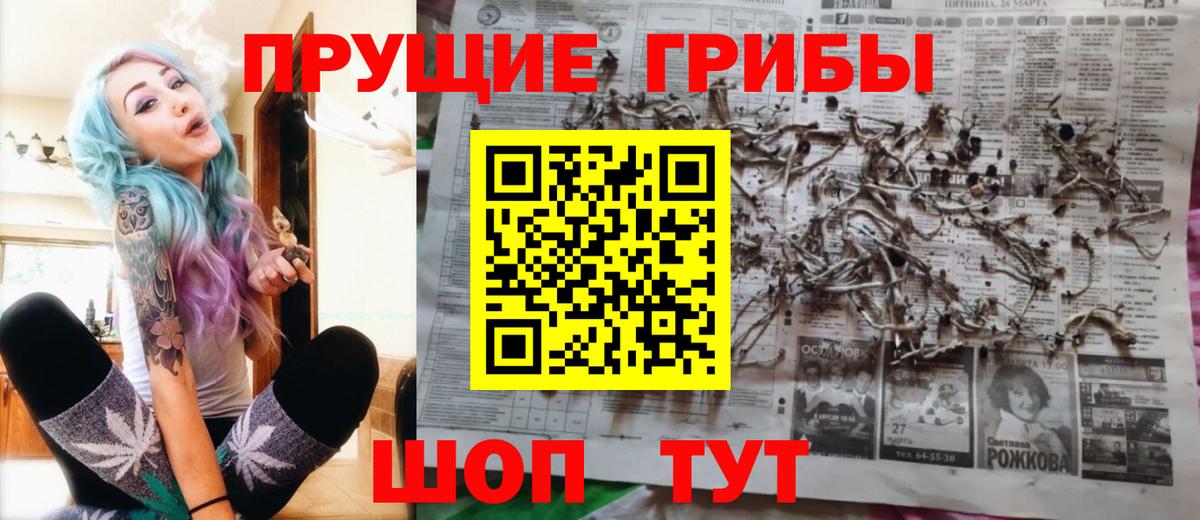 Галлюциногенные грибы GOLDEN TEACHER  Вход с VPN  Киселёвск 